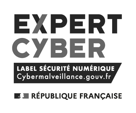 Logo de la certification Expert Cyber